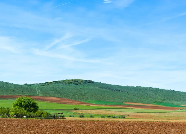 Malerische Felder in Spanien — Stockfoto