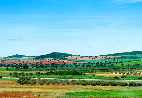 Pittoreske velden in Spanje — Stockfoto
