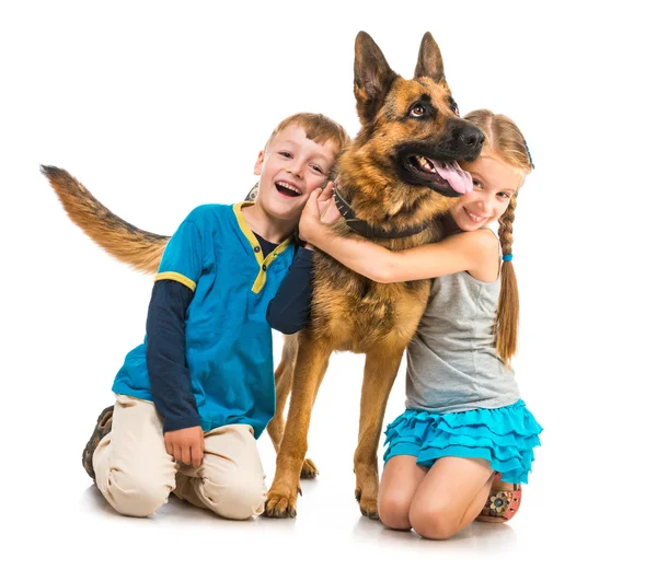 Enfants avec un chien de berger — Photo