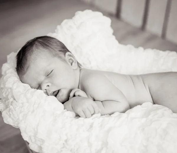 Lovely newborn baby sleeps — Stock Photo, Image