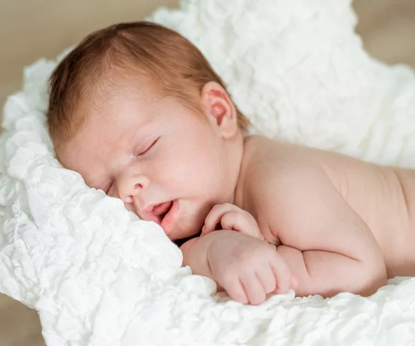 Adorável bebê recém-nascido dorme — Fotografia de Stock