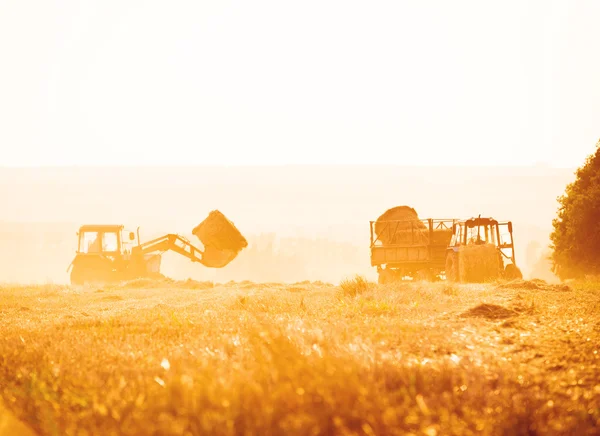 Combine harvester — Stock Photo, Image