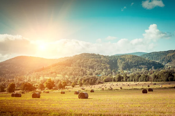 Hay bail harvesting — Stock Photo, Image