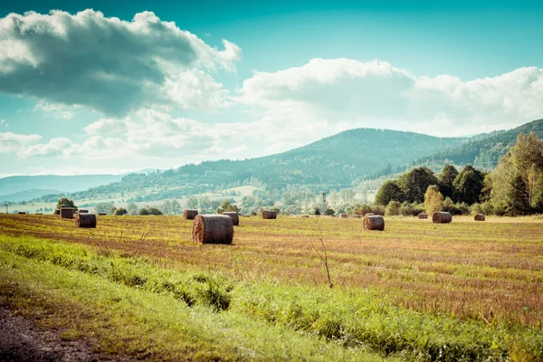 Hay bail harvesting — Stock Photo, Image