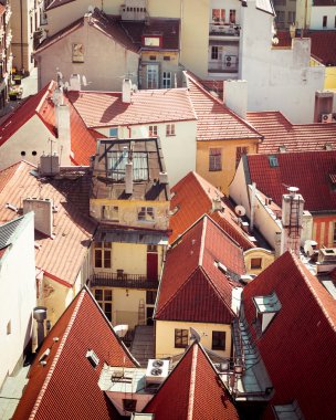 Prag 'da geleneksel kırmızı çatılı evler