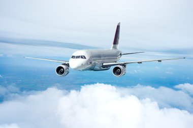 Passenger Airliner