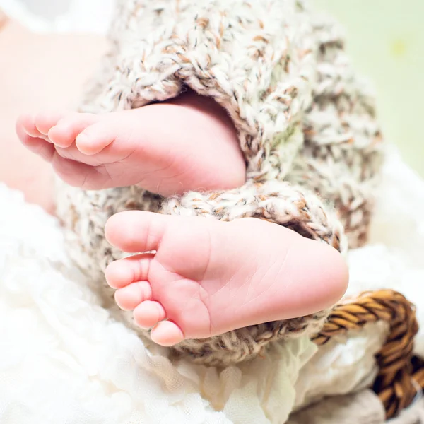 Newborn baby's legs — Stock Photo, Image