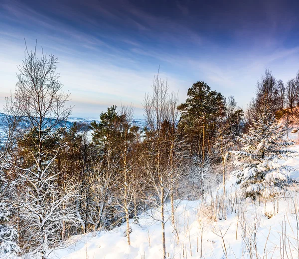 Zonsondergang op de bergtop — Stockfoto