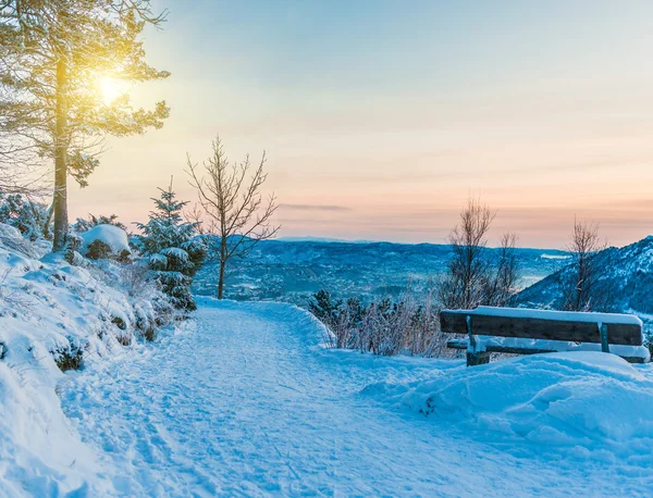 Wintermorgen im Wald — Stockfoto