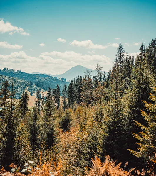 Landschaft in den Karpaten der Berge — Stockfoto