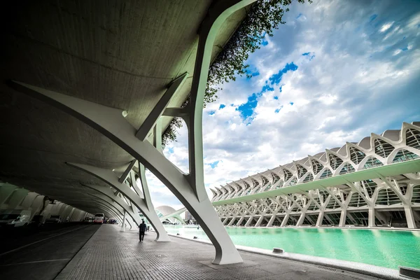 Valencia Sanat ve Bilim Şehri. — Stok fotoğraf