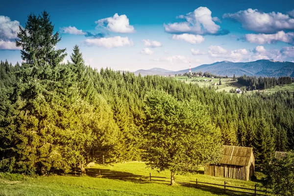 Letní den v Karpatské horské — Stock fotografie