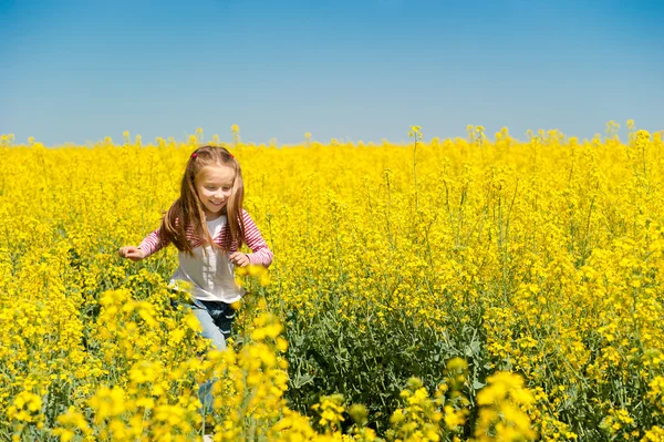 Mignonne petite fille dans un champ — Photo