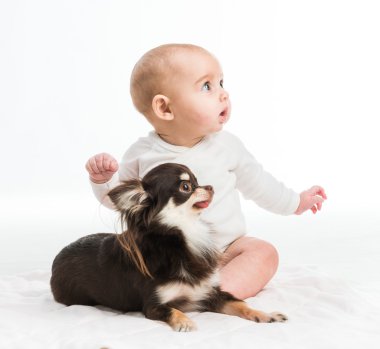 Küçük köpek ile gülümseyen kız