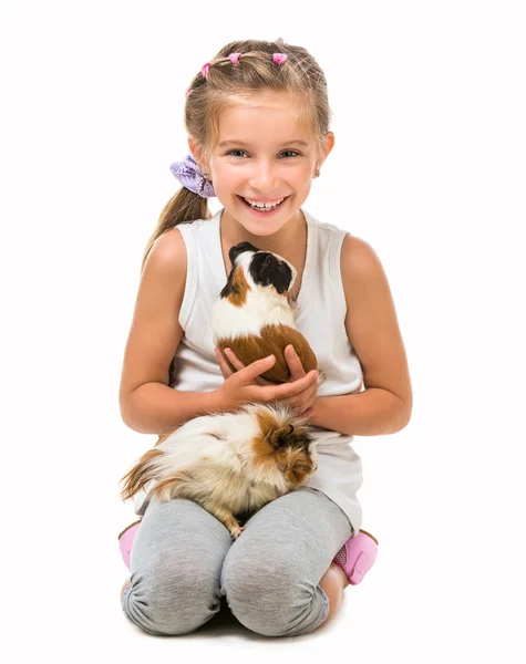Cute girl with  cavy — Stock Photo, Image