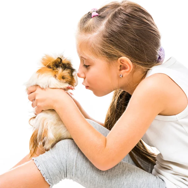 Leuk meisje met cavy — Stockfoto