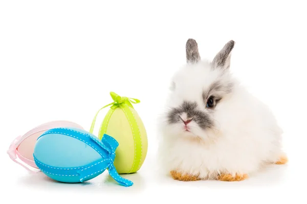 Rabbit  with colored eggs — Stock Photo, Image