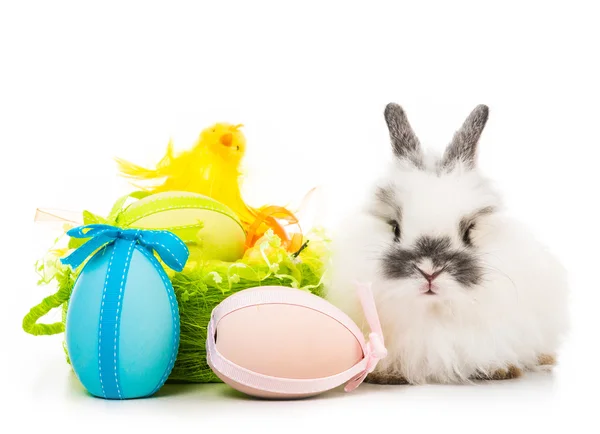 Rabbit  with colored eggs — Stock Photo, Image