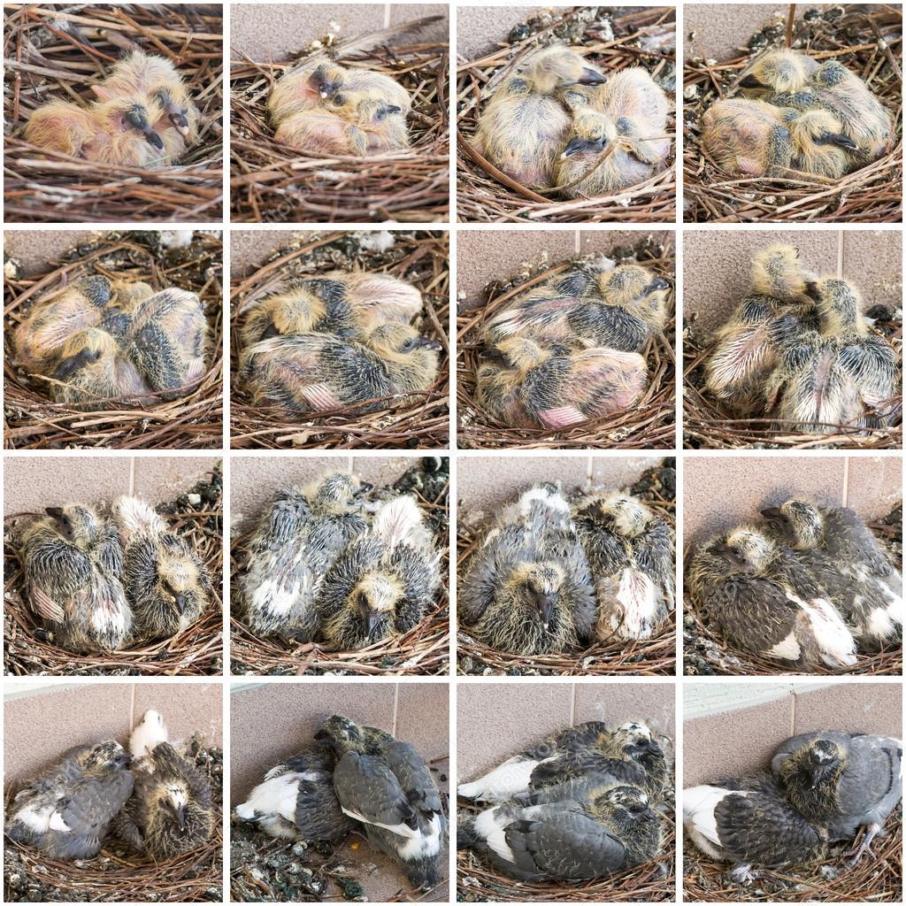 My Image 7