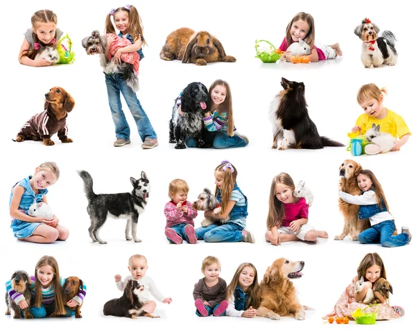 Коллекция фотографий маленьких детей с собаками и кроликами — стоковое фото