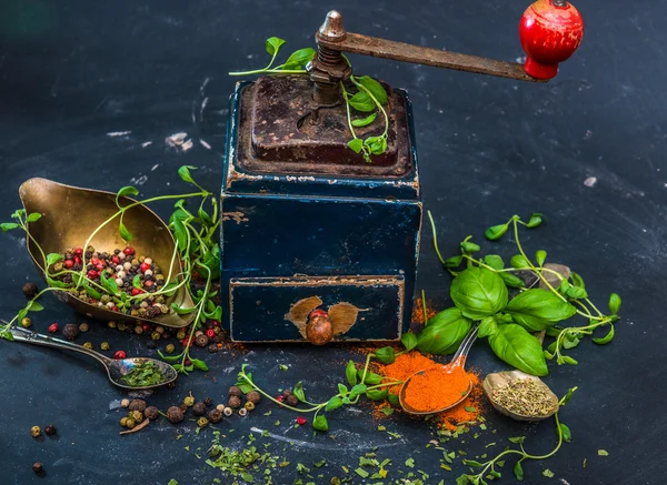 Mill for spices — Stock Photo, Image