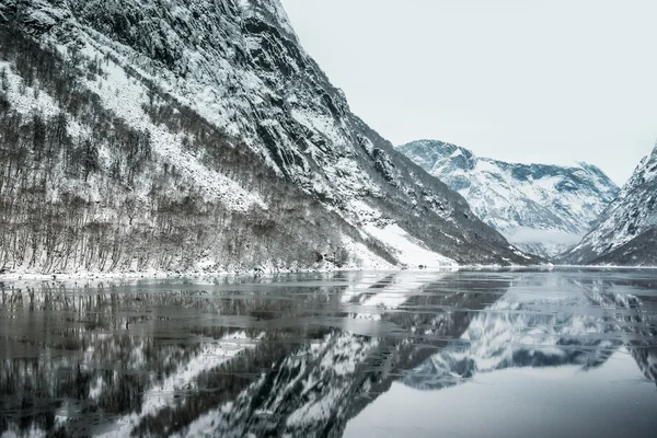 Fjordy v Norsku — Stock fotografie