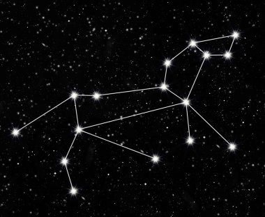 Constellation Leo