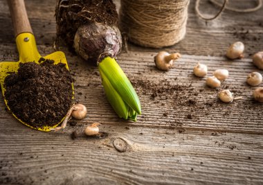 Bitkiler dikim ve aksesuarları için