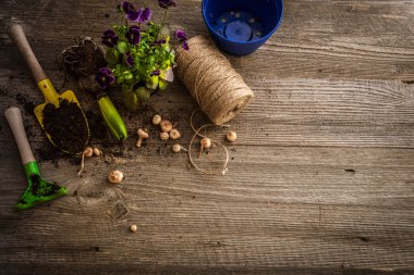 Bitkiler dikim ve aksesuarları için