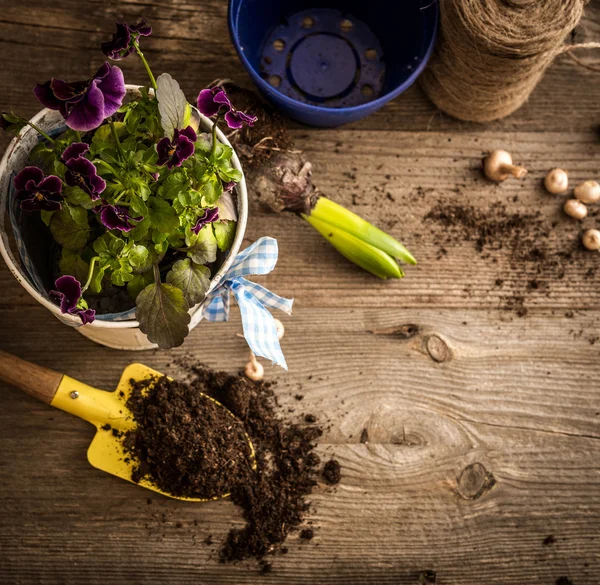 Plants for planting and  accessories — Stock Photo, Image