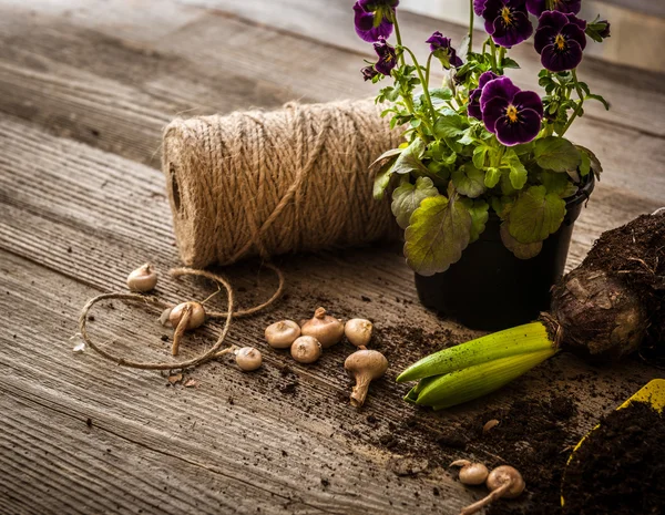 Plants for planting and  accessories — Stock Photo, Image