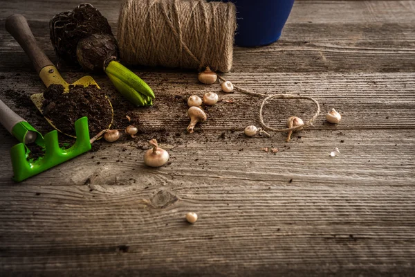 Plantas para plantação e acessórios — Fotografia de Stock