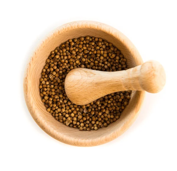 Coriander grain in  mortar — Stock Photo, Image