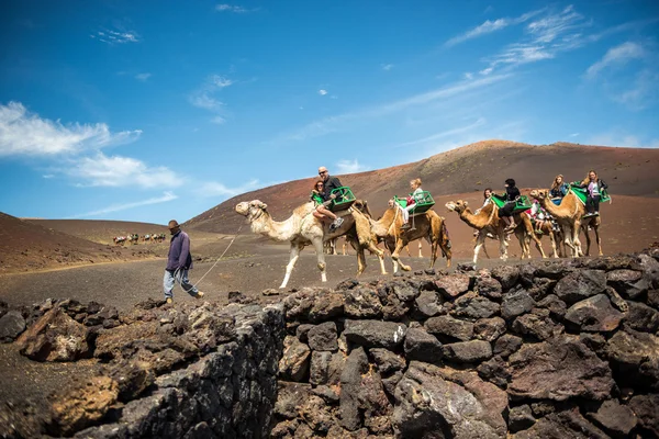 Turistas dando un paseo en camello — Foto de Stock