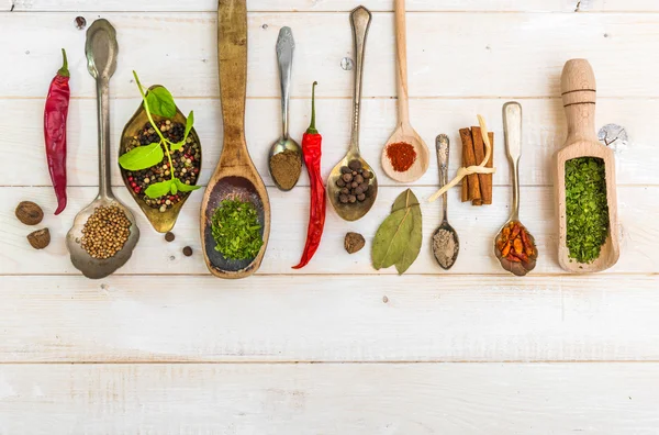 Cucharas con hierbas y especias — Foto de Stock