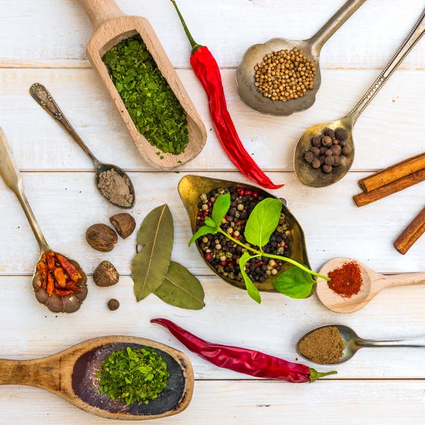 Löffel mit Kräutern und Gewürzen — Stockfoto