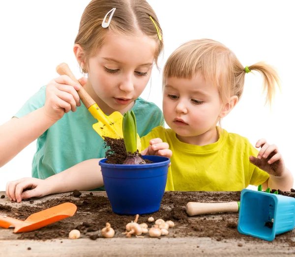 Piccole sorelle impegnate nel giardinaggio — Foto Stock