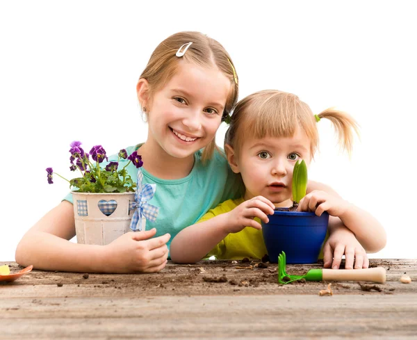 Little sisters  engaged in gardening Royalty Free Stock Images