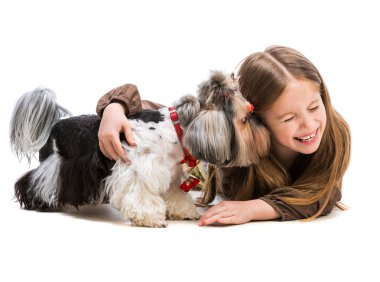 Yorkshire terrier ile küçük kız