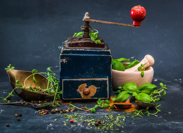 Molino para alimentos de especias —  Fotos de Stock