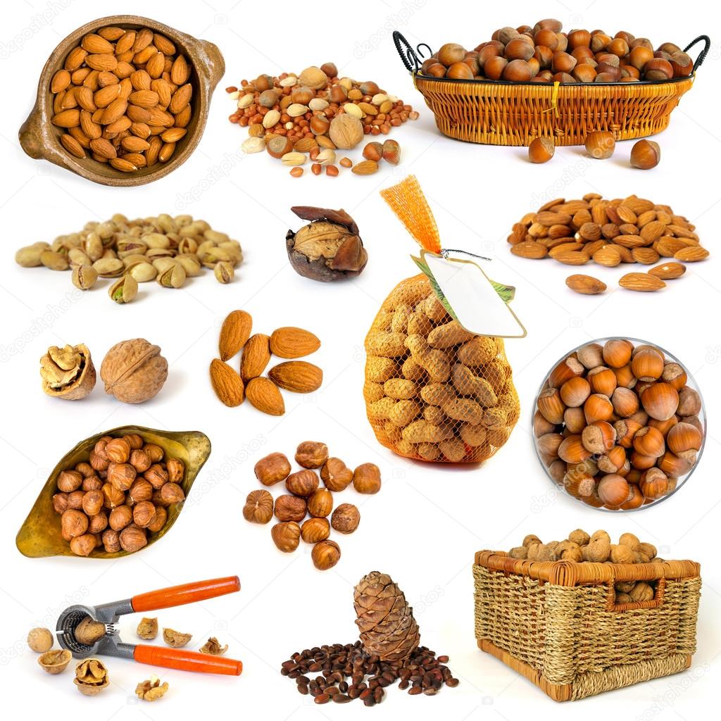 different nuts isolated