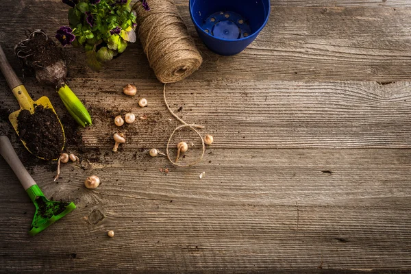 Plantas para plantio e acessórios de jardim — Fotografia de Stock