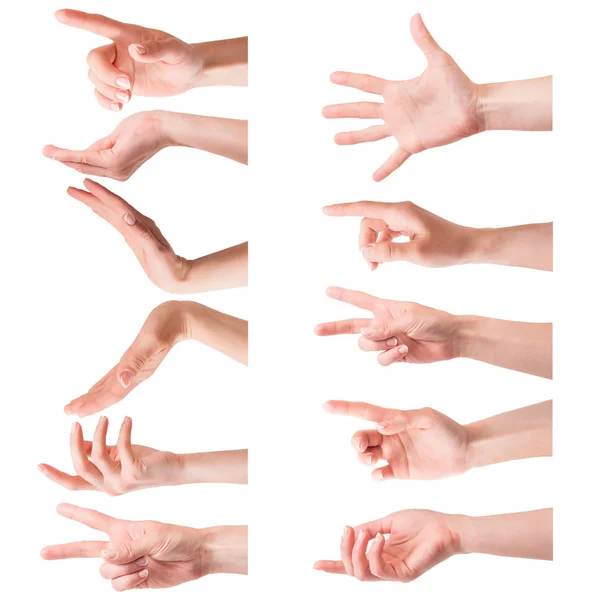 Female hands — Stock Photo, Image