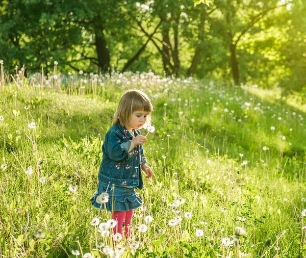 Niña feliz en el campo —  Fotos de Stock