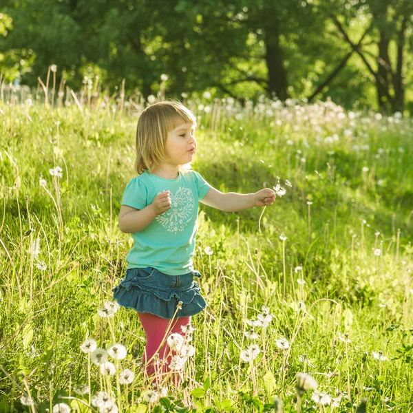 Glückliches kleines Mädchen auf dem Feld — Stockfoto