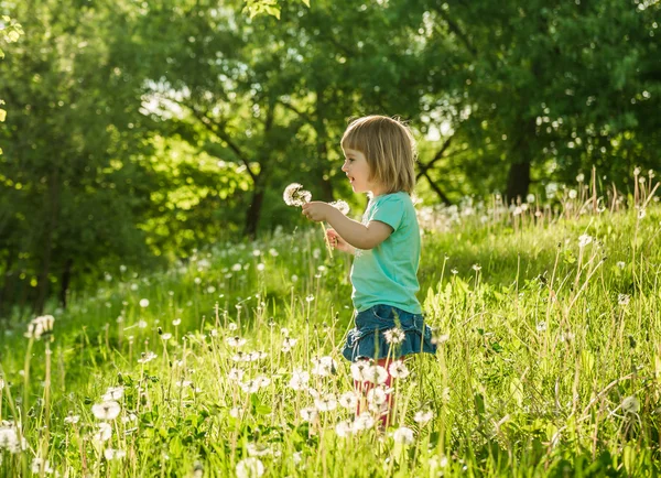 Felice bambina sul campo — Foto Stock