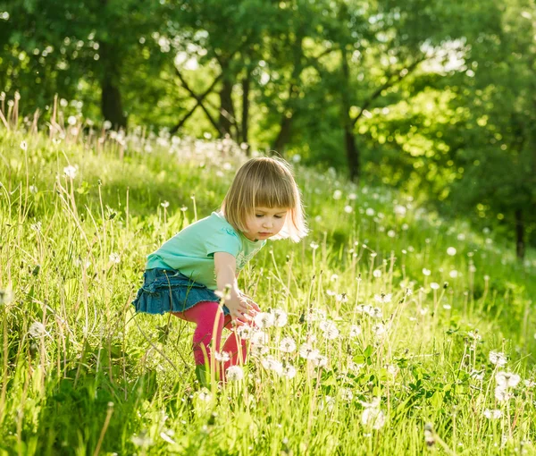 Menina feliz no campo — Fotografia de Stock