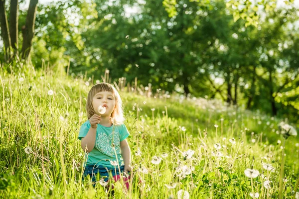 Happy little girl on  field — Stock Photo, Image