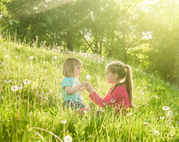 Twee gelukkige kleine zusters op het veld — Stockfoto