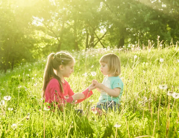 Due sorelline felici sul campo — Foto Stock